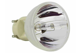 BenQ 5J.J7L05.001 Projector Bare Lamp